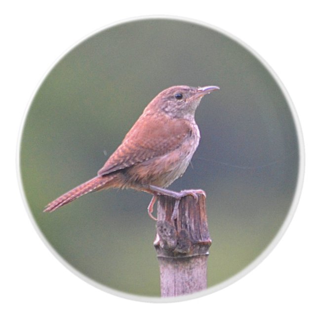 Birdie Ceramic Knob Knopp (Framsidan)