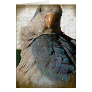 Birdie Hälsningskort