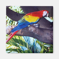 BIRDIE