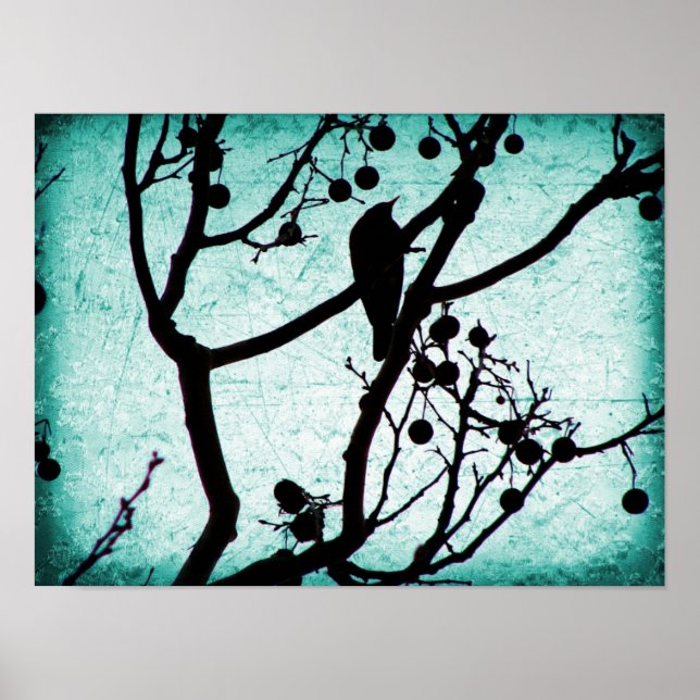 Birdie Poster (Framsidan)