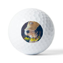 Birdie the Bernedoodle in gult golf hat