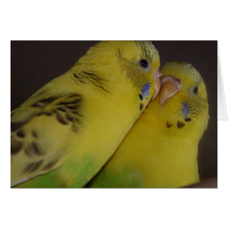 BirdieBird Hälsningskort