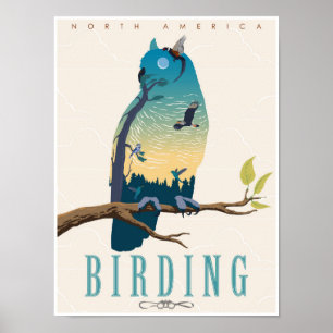 Birding i Nordamerika Poster