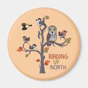 Birding upp nord magnet