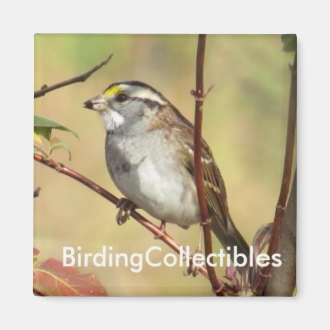 BirdingCollectibles Magnet (Framsidan)