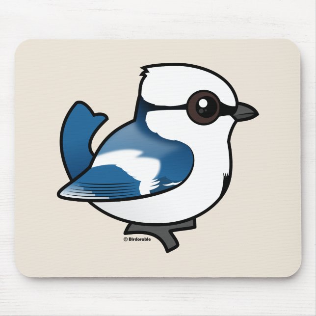 Birdorable Azure Tit Musmatta (Framsidan)