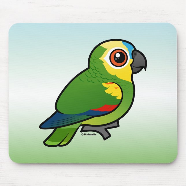 Birdorable Blått-beklädde papegojan Musmatta (Framsidan)