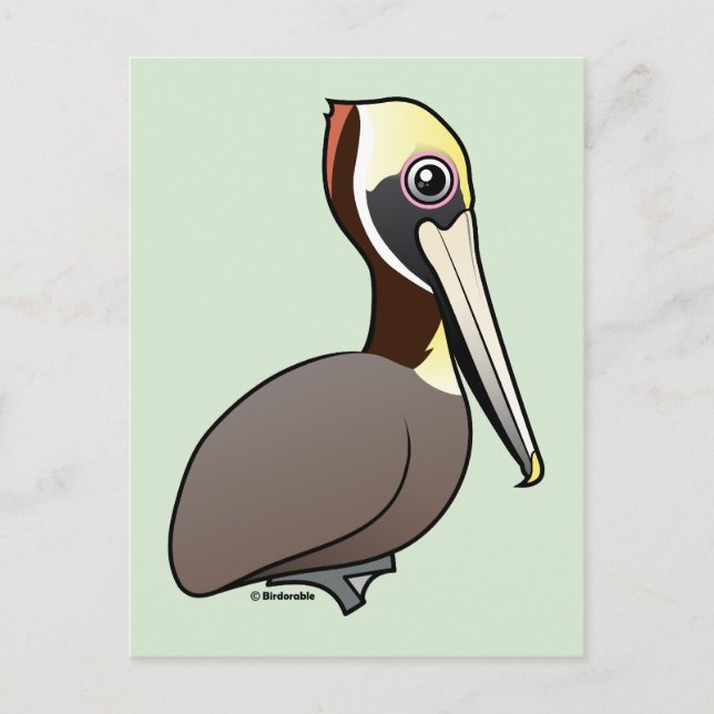 Birdorable Brown Pelican Vykort (Framsida)