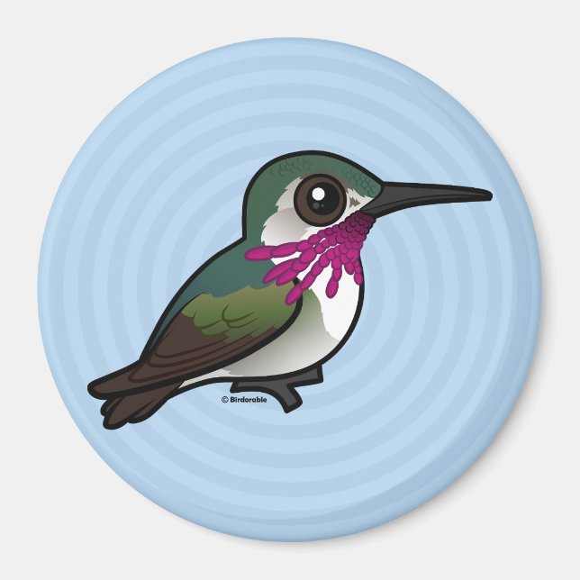 Birdorable Calliope Hummingbird Magnet (Framsidan)