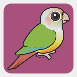 Birdorable Cinnamon Grönt-cheeked Conure Fyrkantigt Klistermärke