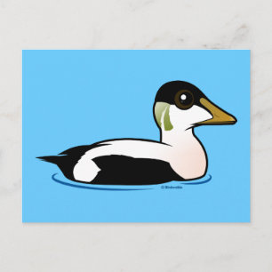 Birdorable Common Eider Vykort