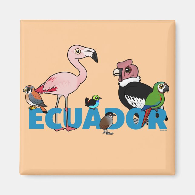 Birdorable Ecuador Magnet (Framsidan)