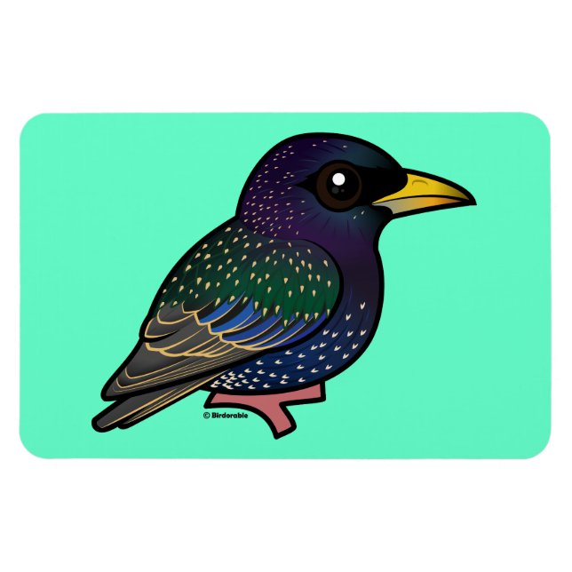 Birdorable European Starling Magnet (Horisontell)
