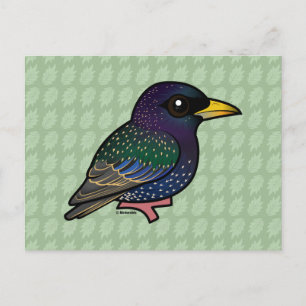 Birdorable European Starling Vykort