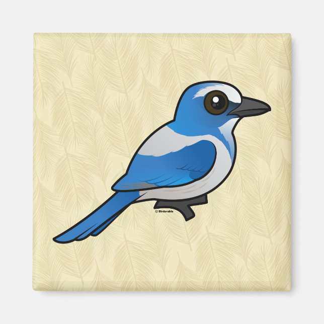 Birdorable Florida SCrub-Jay Magnet (Framsidan)