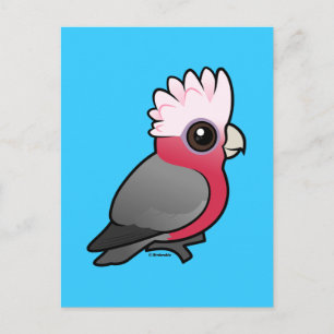 Birdorable Galah Vykort