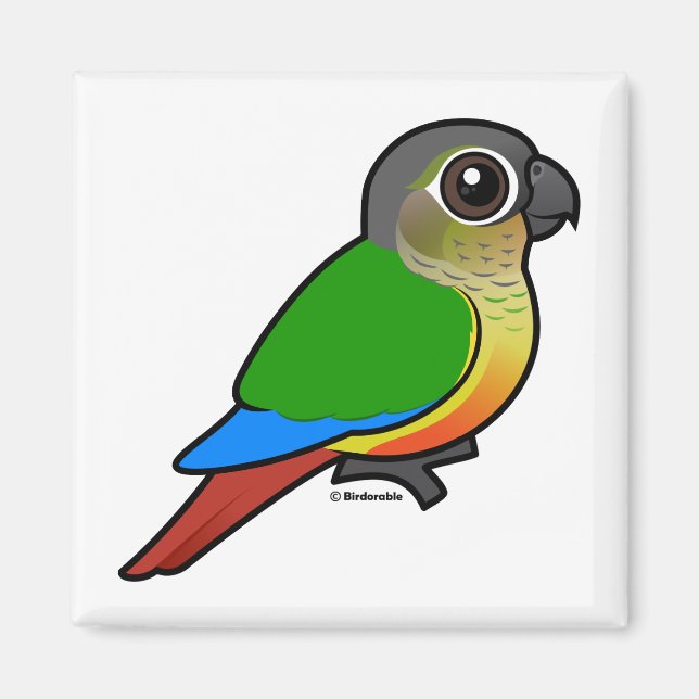 Birdorable Gult Sided Conure Magnet (Framsidan)