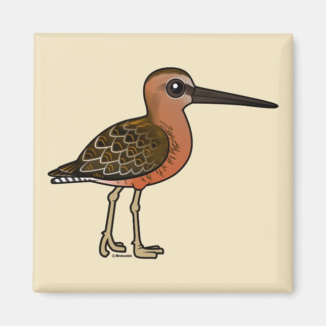 Birdorable Long-billed Dowitcher Magnet (Framsidan)