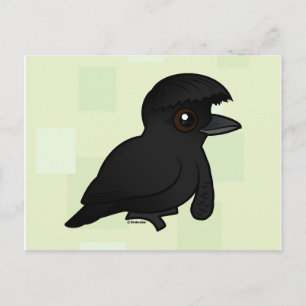 Birdorable Long-wattleed Umbrellabird Vykort
