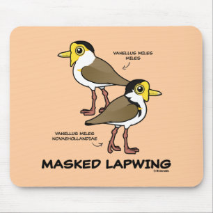 Birdorable maskerade Lapwingsubspecies Musmatta