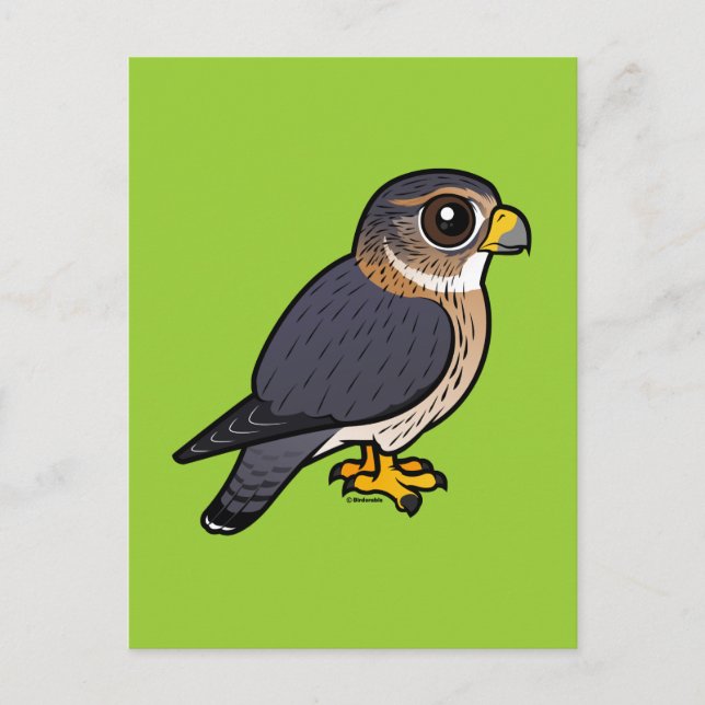 Birdorable Merlin Vykort (Framsida)