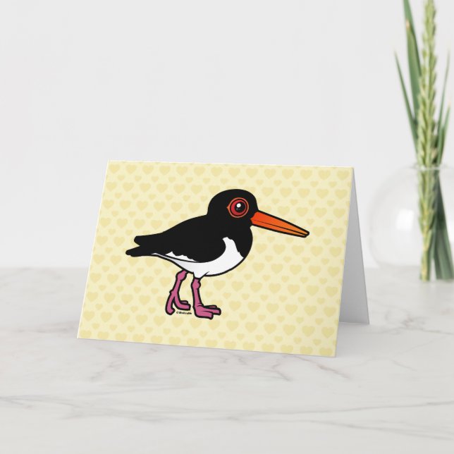Birdorable Pied Oystercatcher Kort (Framsida)
