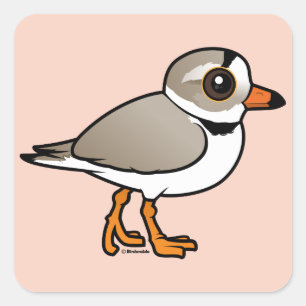 Birdorable Piping Plover Fyrkantigt Klistermärke