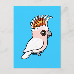 Birdorable Rosa Cockatoo Vykort
