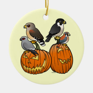 Birdorable rovfåglar på pumpor julgransprydnad keramik