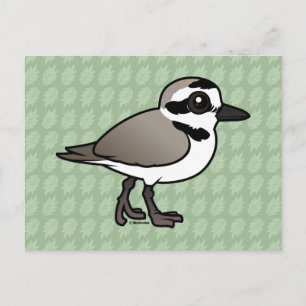 Birdorable Snowy Plover Vykort