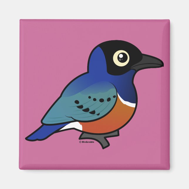 Birdorable Superb Starling Magnet (Framsidan)