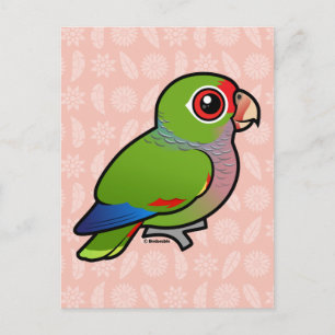 Birdorable Vinacous Parrot Vykort