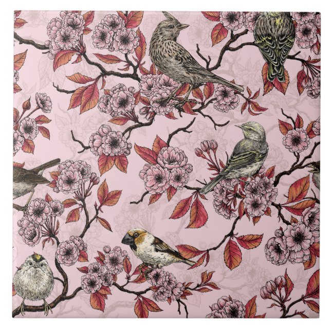 Birds and cherry blossom on rose pink kakelplatta (Framsidan)