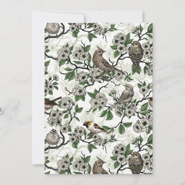 Birds and cherry blossom on white (Framsida)