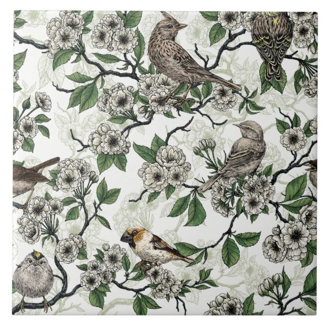 Birds and cherry blossom on white kakelplatta (Framsidan)