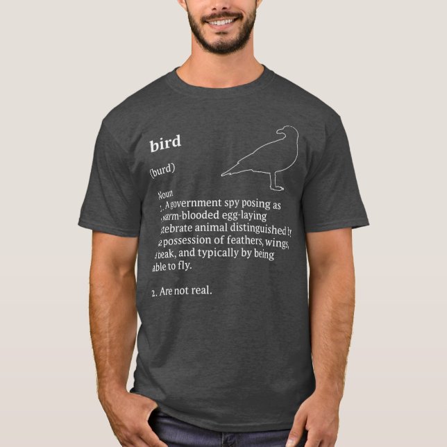 Birds Arent Real Dictionary Minimalist T Shirt (Framsida)