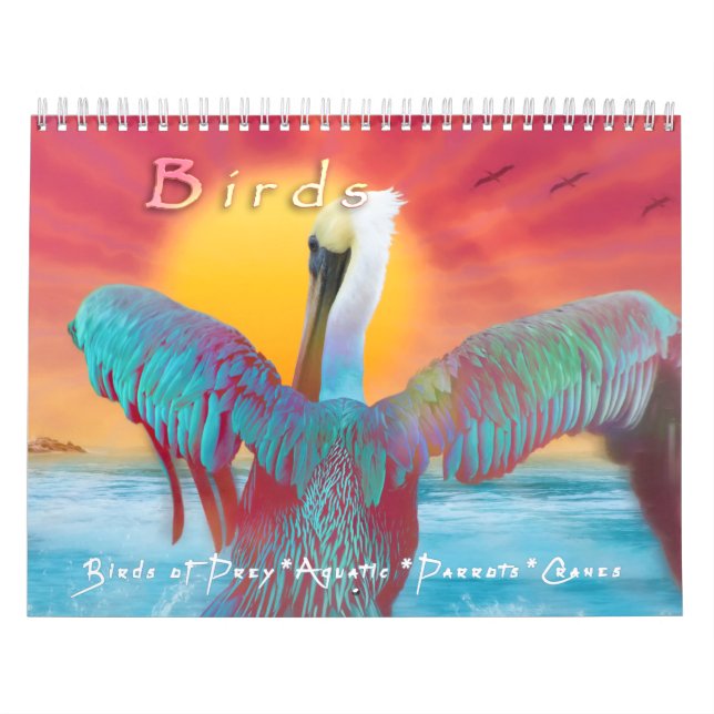 BIRDS ART KALENDER (Omslag)