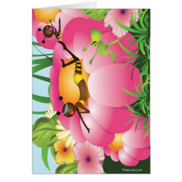 Birds & Bees OBS Kort