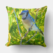 Birds Canada Goose Northern Blue Jay Anpassningsba