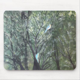 Birds' Eye View Musmatta