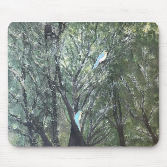 Birds' Eye View Musmatta (Framsidan)