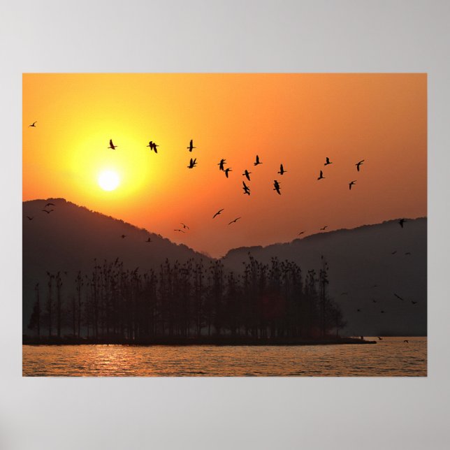 Birds Flying in Sunset Sky Over East Lake Poster (Framsidan)