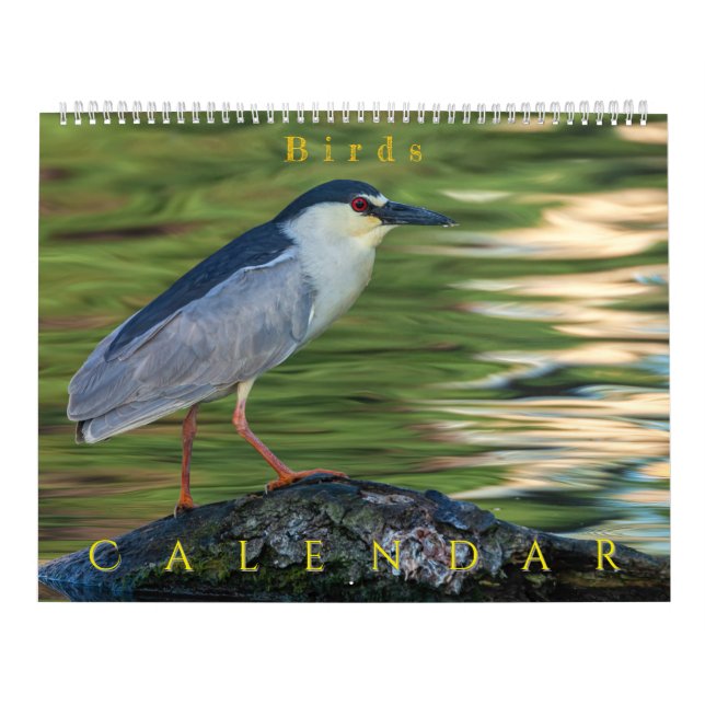 Birds Kalender (Omslag)