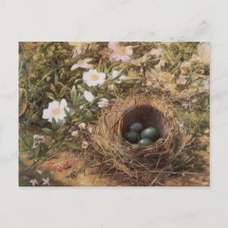 Birds Nest och Hund av John William Backe Vykort