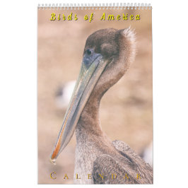 Birds of America Kalender
