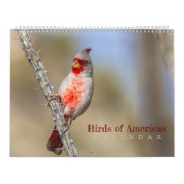 Birds of Americas  Kalender