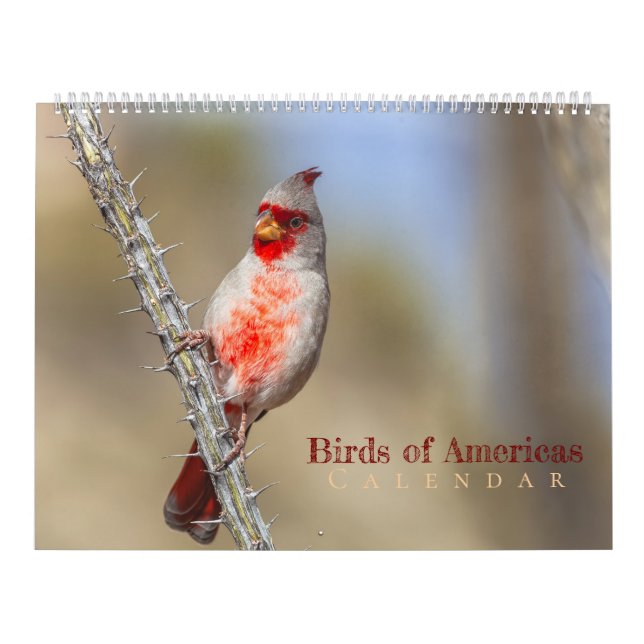 Birds of Americas  Kalender (Omslag)