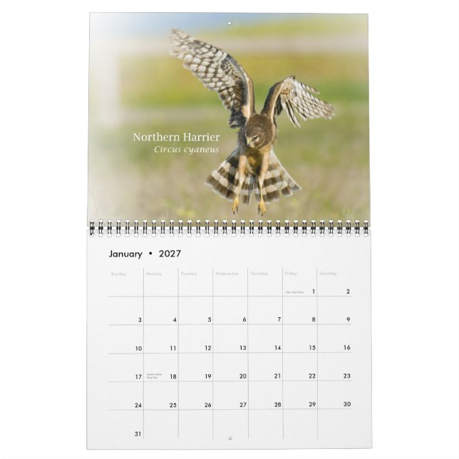 Birds of California 2010 Calendar Kalender (Jan 2027)