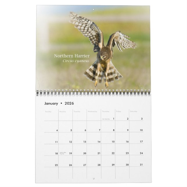 Birds of California 2010 Calendar Kalender (Jan 2026)