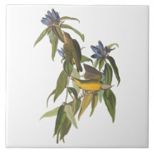 Birds of John James Audubon